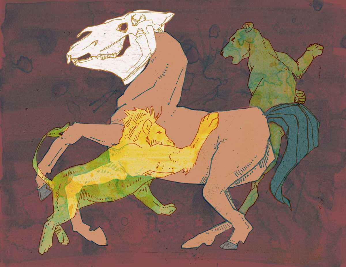 lion expressive attacking lion illustration
