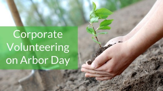 Ideas for Arbor Day corporate volunteering