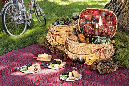 Picnic basket spread in forest